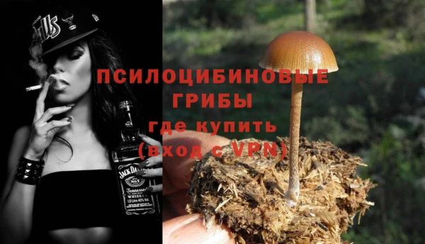 ALPHA PVP Алексеевка