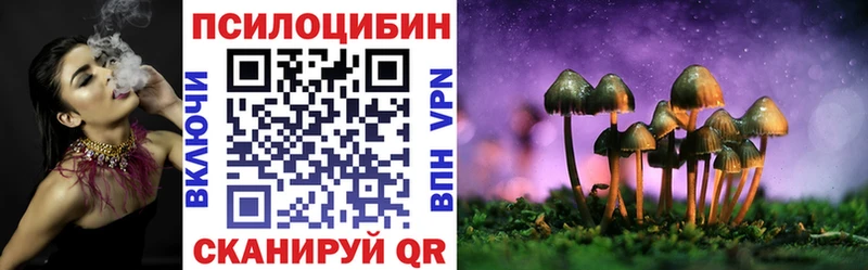 Галлюциногенные грибы Psilocybe  Анжеро-Судженск 
