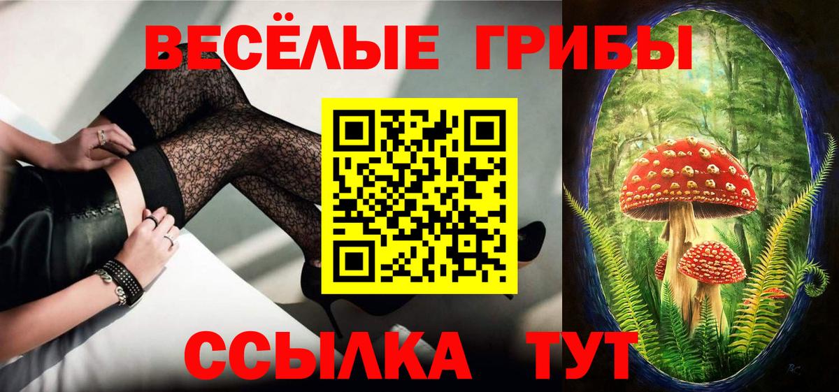 Галлюциногенные грибы мицелий  Вход с VPN  Анжеро-Судженск  Галлюциногенные грибы Magic Shrooms 